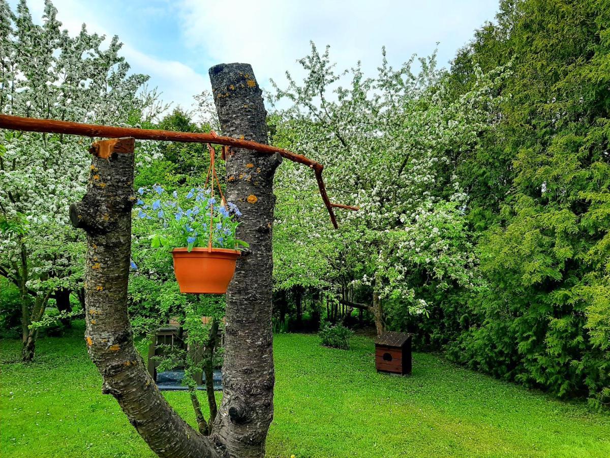 Champetre Park View Apartments Ryga Zewnętrze zdjęcie