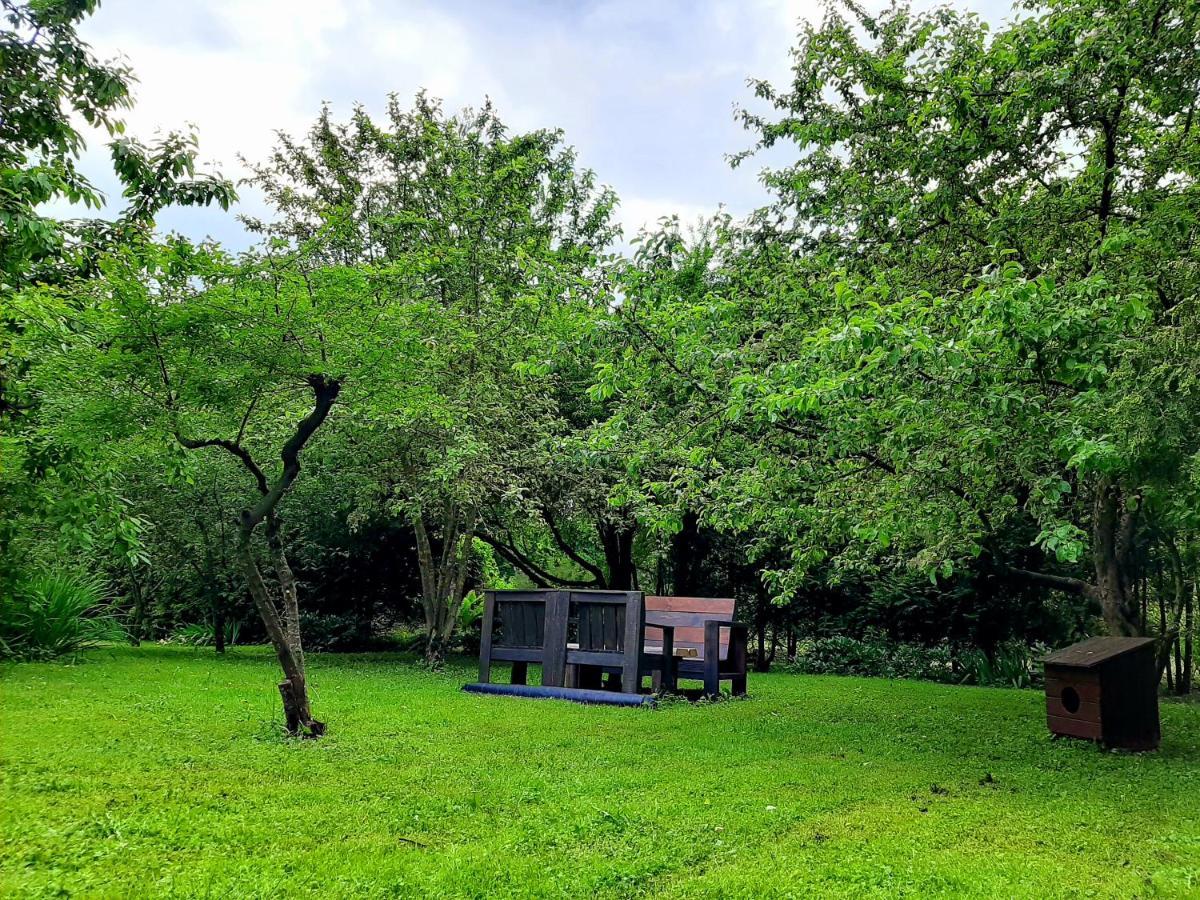 Champetre Park View Apartments Ryga Zewnętrze zdjęcie