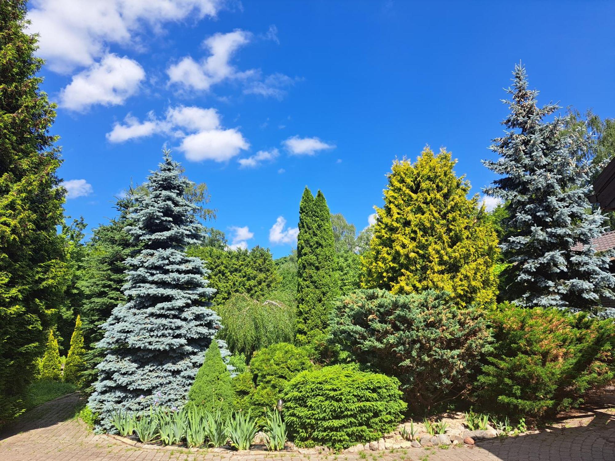 Champetre Park View Apartments Ryga Zewnętrze zdjęcie